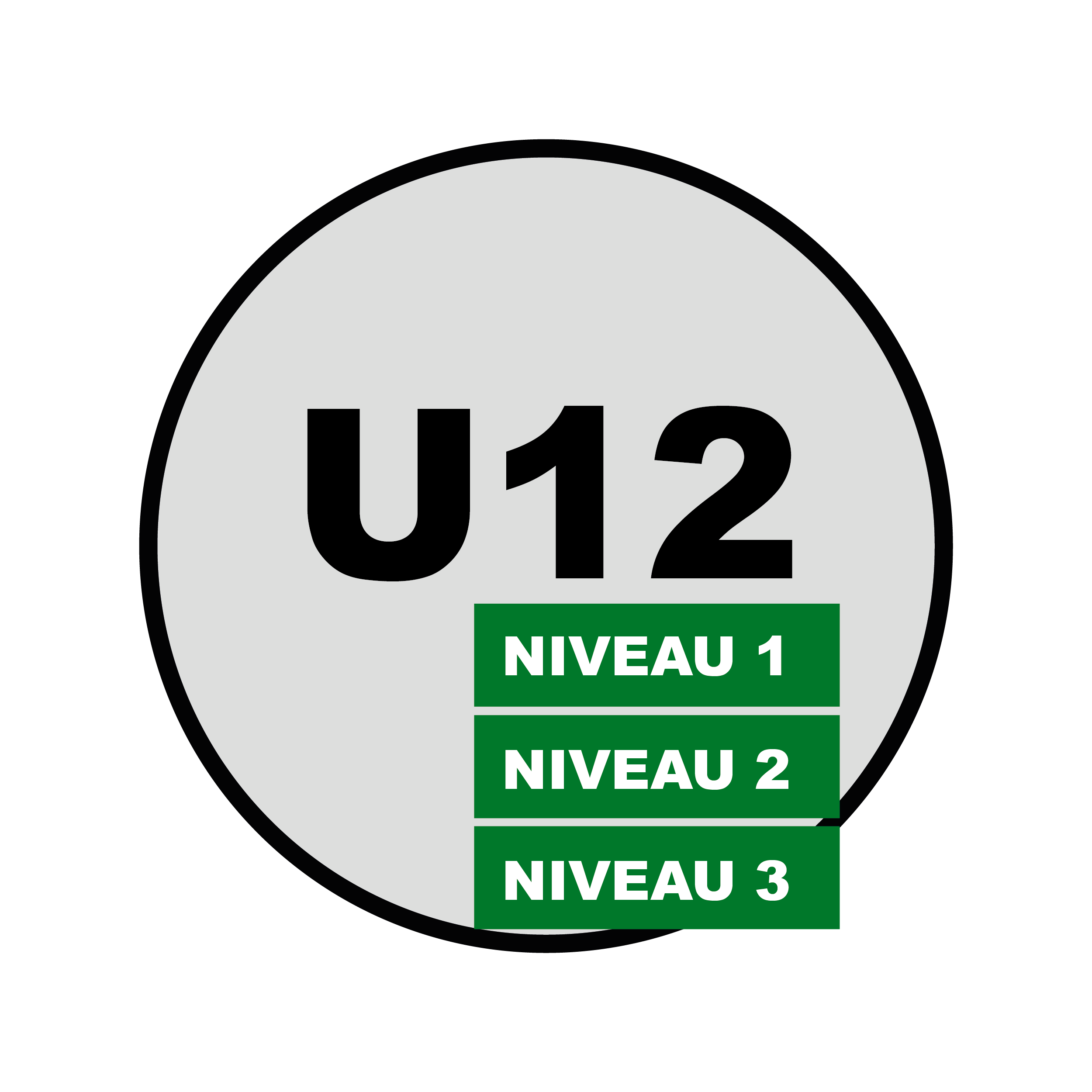 Catégorie U12 - Niveau 1, 2 & 3